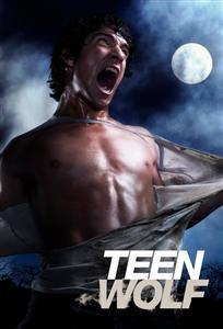 Teen Wolf Season 1-6 DVD Box Set