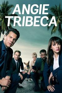 Angie Tribeca season 1-3 DVD Box Set
