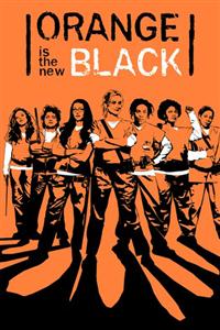 Orange Is the New Black Season 1-6 DVD Box Set