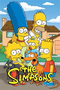 The Simpsons Season 29 DVD Box Set