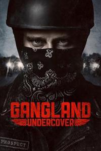 Gangland Undercover Season 2 DVD Box Set