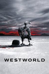 Westworld Season 1-3  DVD Box Set
