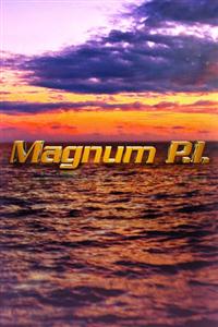 Magnum P.I. Season 1 DVD Box Set