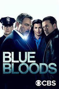 Blue Bloods Season 1-9 DVD Box Set