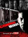 Criminal Minds Season 1-10 & NCIS Seasons 1-12