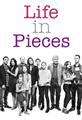 Life in Pieces season 1 DVD Box Set