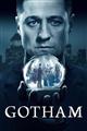 Gotham Season 1-4 DVD Box Set
