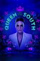 Queen of the South season 1-4 DVD Set