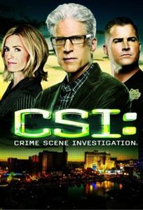 CSI:Lasvegas season 16 DVD Box Set