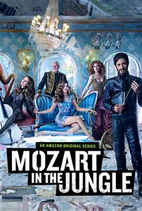 Mozart in the Jungle Season 1-4 DVD Box Set