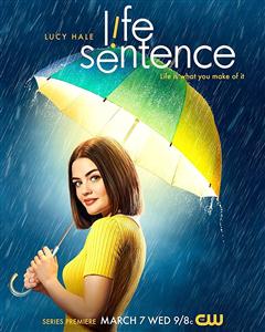 Life Sentence Season 1 DVD Box Set