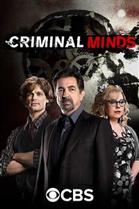 Criminal Minds season 1-14 DVD Box Set