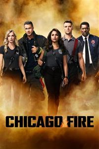 Chicago Fire Season 1-7 DVD Box Set