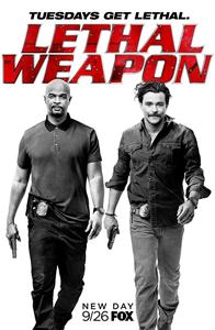 Lethal Weapon Season 3 DVD Box Set