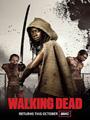 The Walking Dead Season 1-5 DVD Box Set