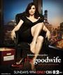 The Good Wife Season 6 DVD Box Set