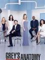 Grey's Anatomy Season 11 DVD Box Set
