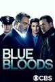 Blue Bloods season 1-7 DVD Box Set