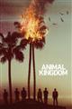 Animal Kingdom Season 1-2 DVD Box Set