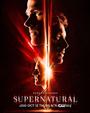 Supernatural Season 14 DVD Box Set