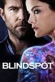 Blindspot Season 1-4 DVD Box Set