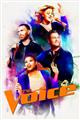 The Voice (U.S.) Season 1-15 DVD Set