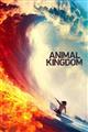 Animal Kingdom Season 4 DVD Set